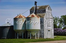 Elcott area farm
May 2007